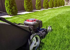 Gardening_landscaping