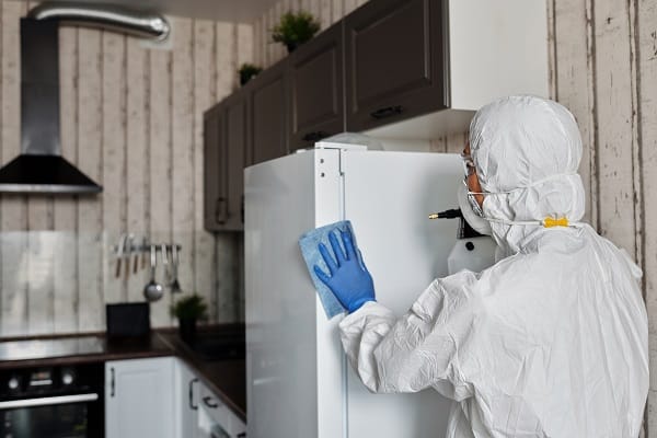 cleaning service JB-1