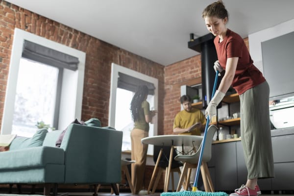 Regular Cleaning